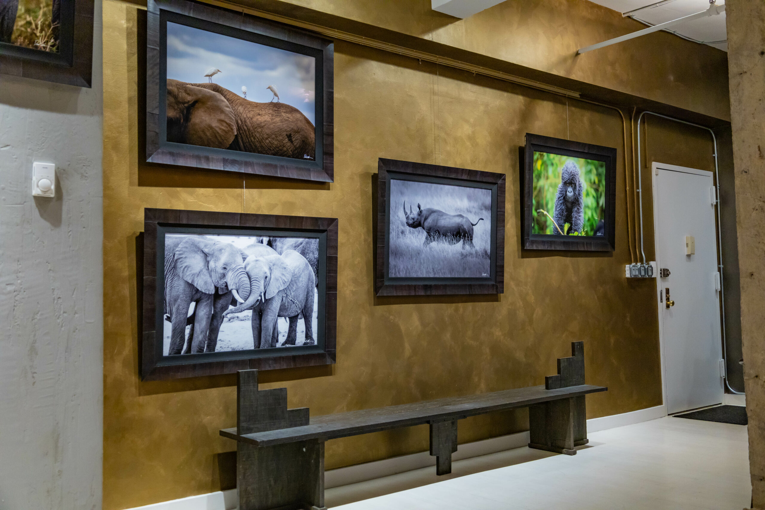 Images of Derek Nielsen photography displayed in an art gallery in Manhattan New York 